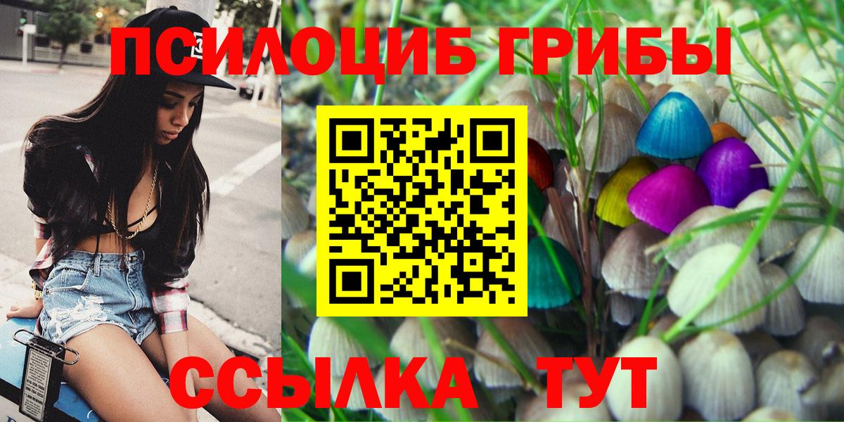 Псилоцибиновые грибы Cubensis Симферополь