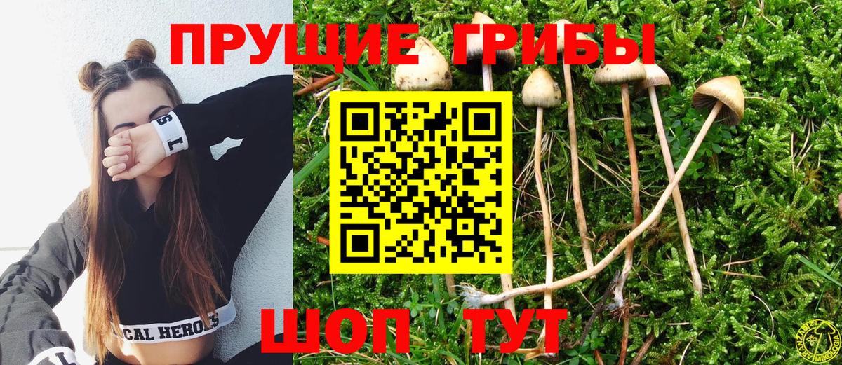 Псилоцибиновые грибы MAGIC MUSHROOMS  Псилоцибиновые грибы Psilocybine cubensis  Симферополь  где найти наркотики  Вход с VPN 